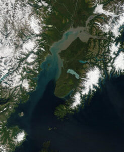 Figure 1. Suspended sediments show in Cook Inlet satellite image. Provided by Orbimage.