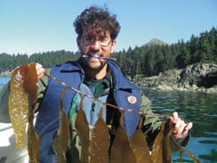 Macrocystis Kelp Mapping 