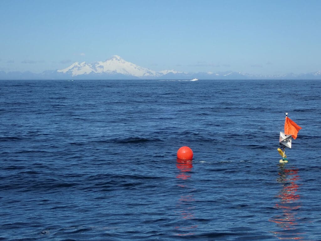 Buoy in the ocean with mountains in the background