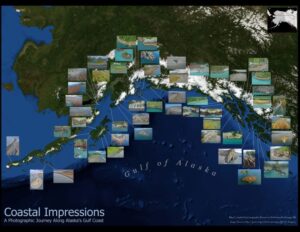 Coastal Impressions: A Photographic Journey along Alaska’s Gulf Coast
