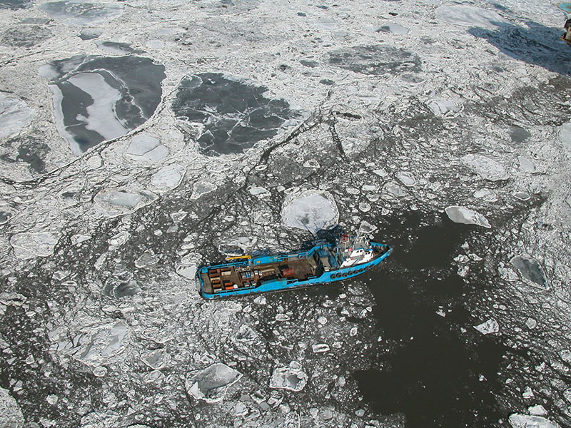 Boat in the ice field