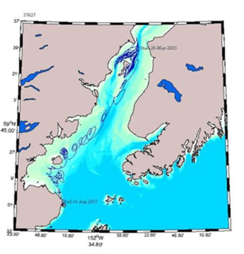 Tidal Currents on Map