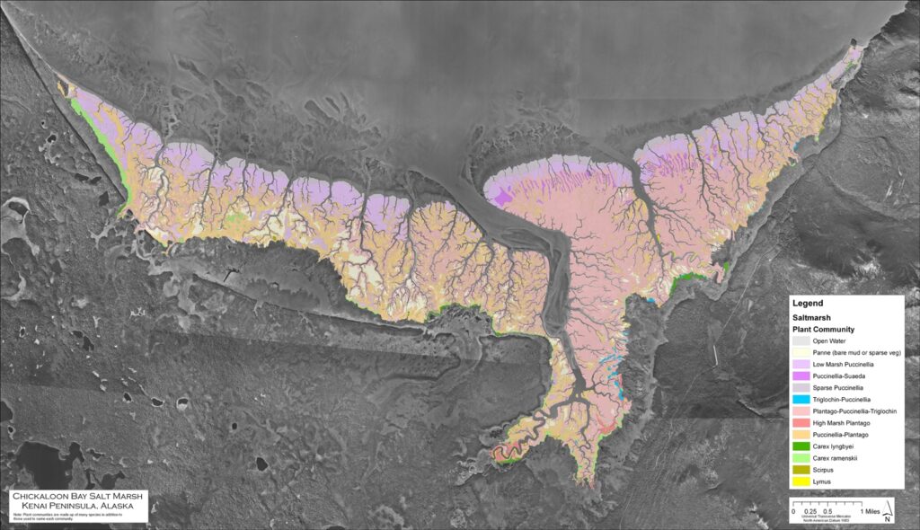 Map of Chickaloon Saltmarsh