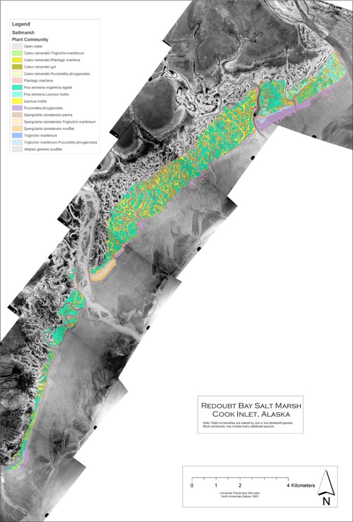 Map of Redoubt Bay Saltmarsh