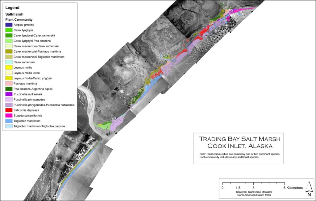 Map of Trading Bay Saltmarsh