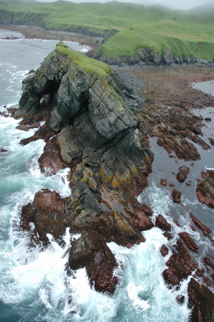 Kodiak rocky habitat