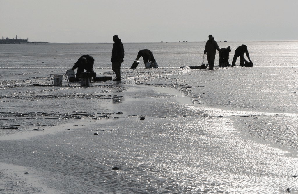 Sampling soft sediment habitat